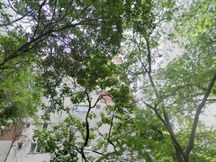 Basarabia, Bd. Chisinau, metrou Costin Georgian 5 min